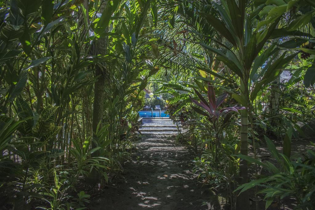 Atlantida Lodge Cahuita Eksteriør billede