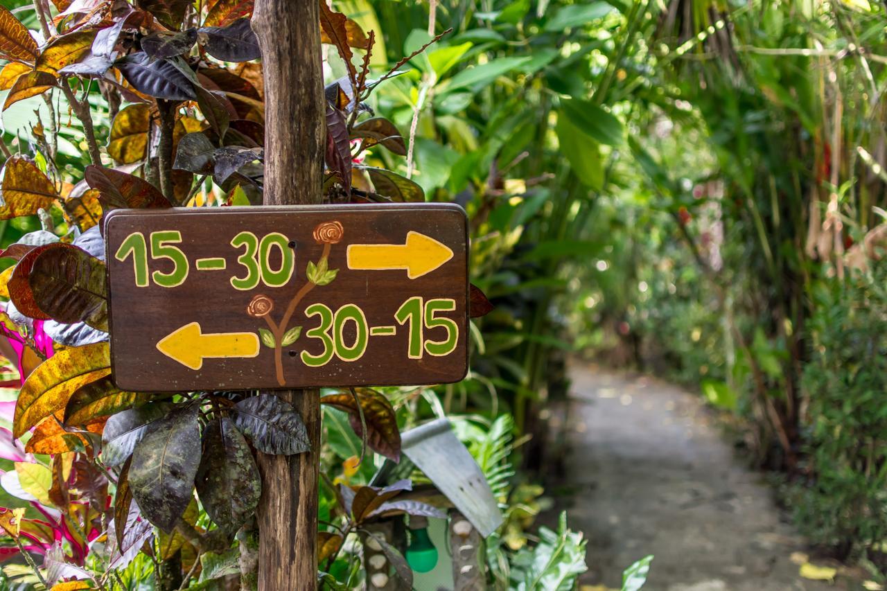 Atlantida Lodge Cahuita Eksteriør billede