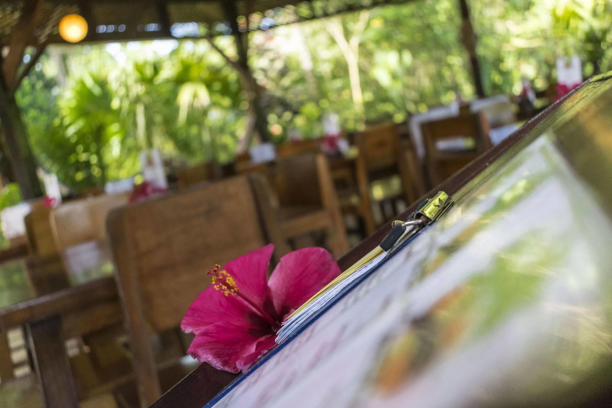 Atlantida Lodge Cahuita Eksteriør billede